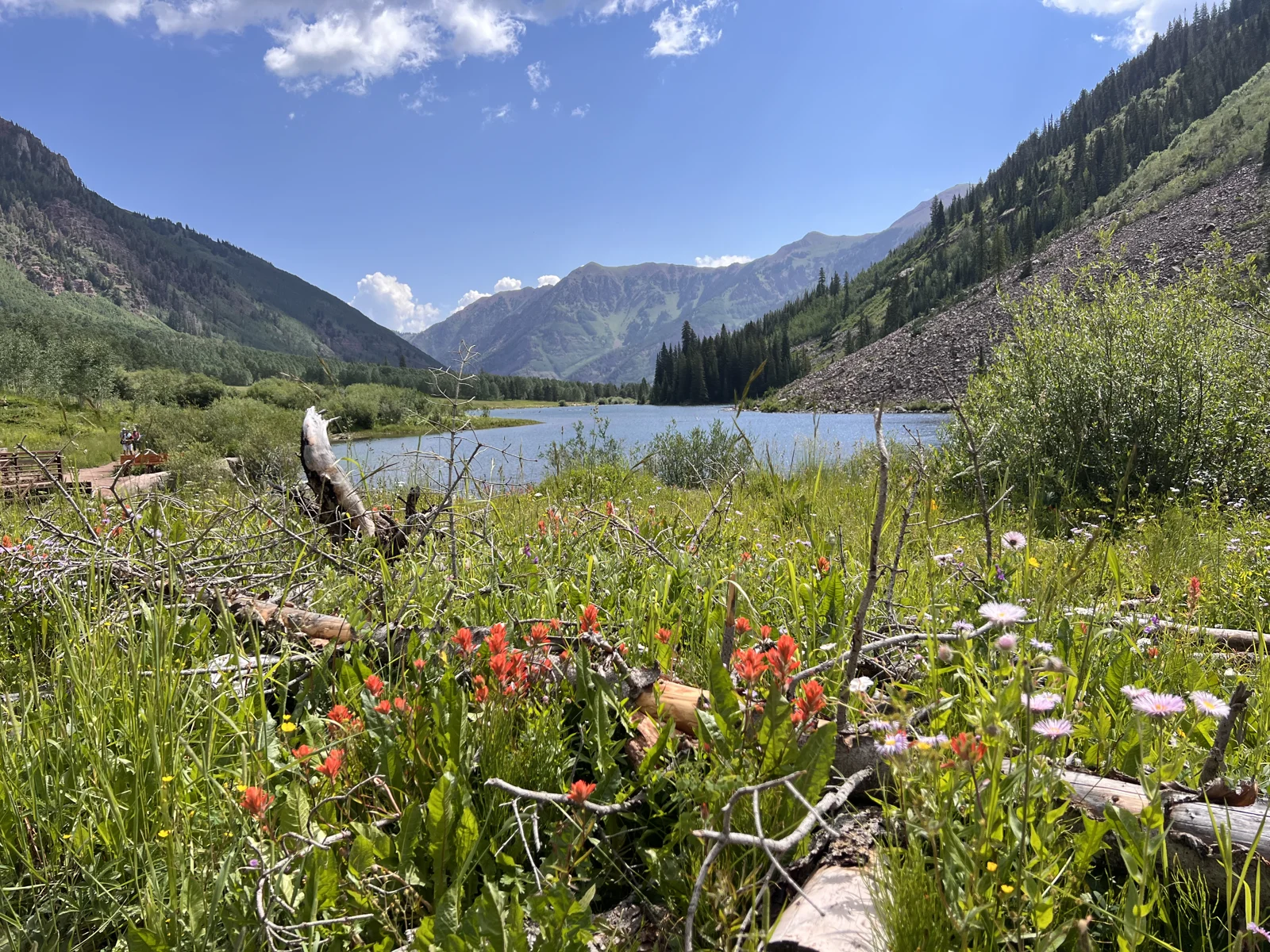 Maroon Lake framed by summer wildflowers