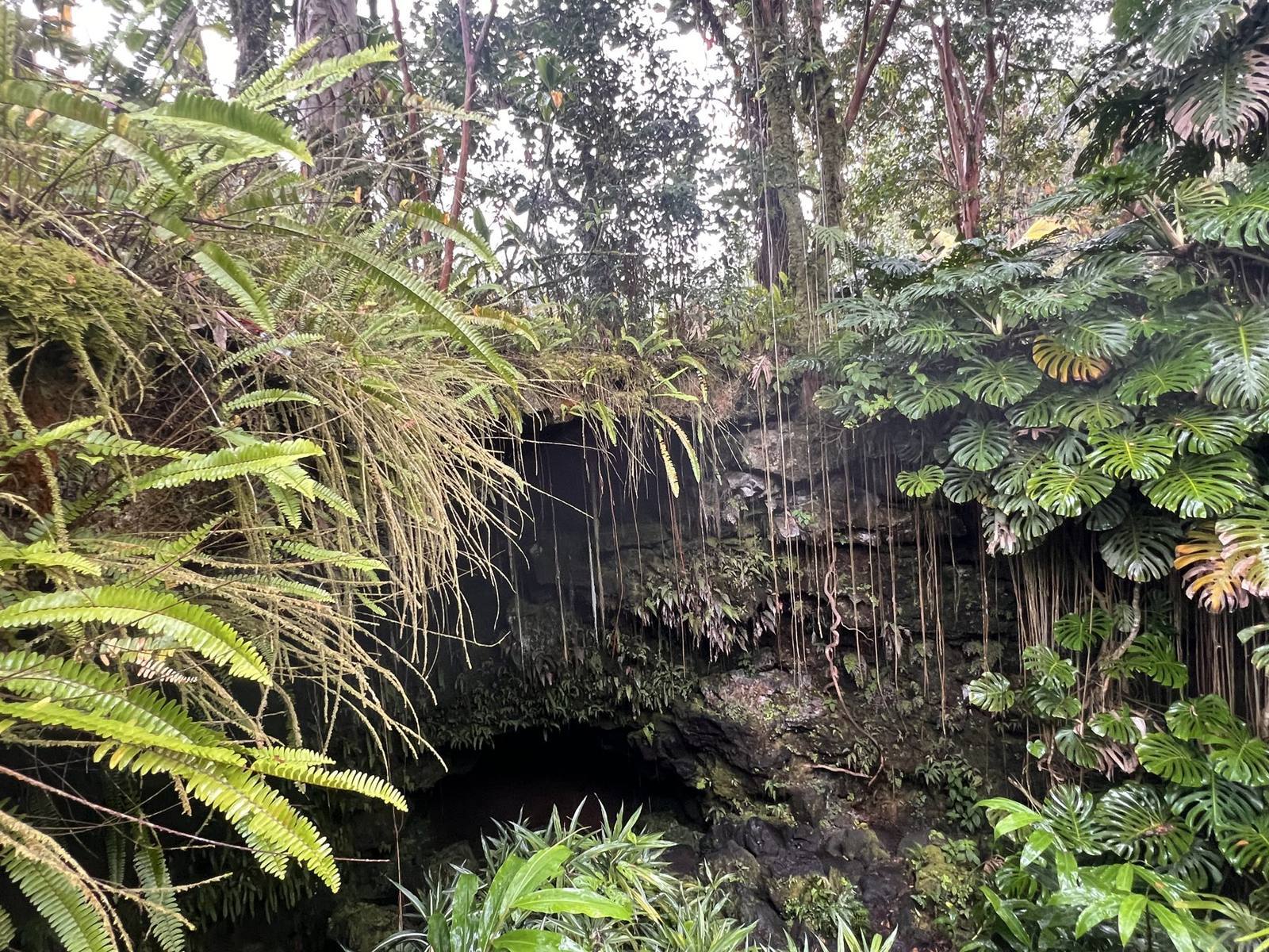 Entrance to Kaumana Caves