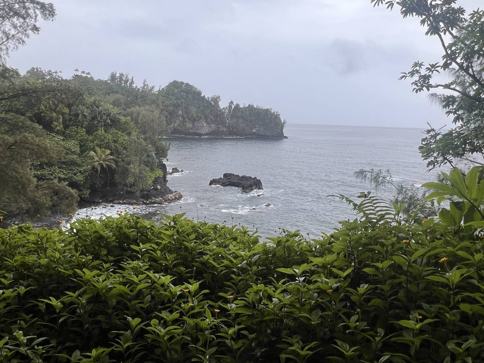 Onomea coast