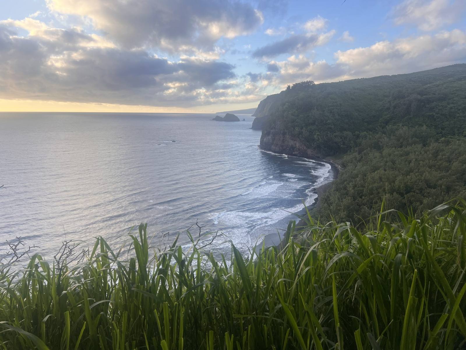 Pololu Valley coastline on the Big Island