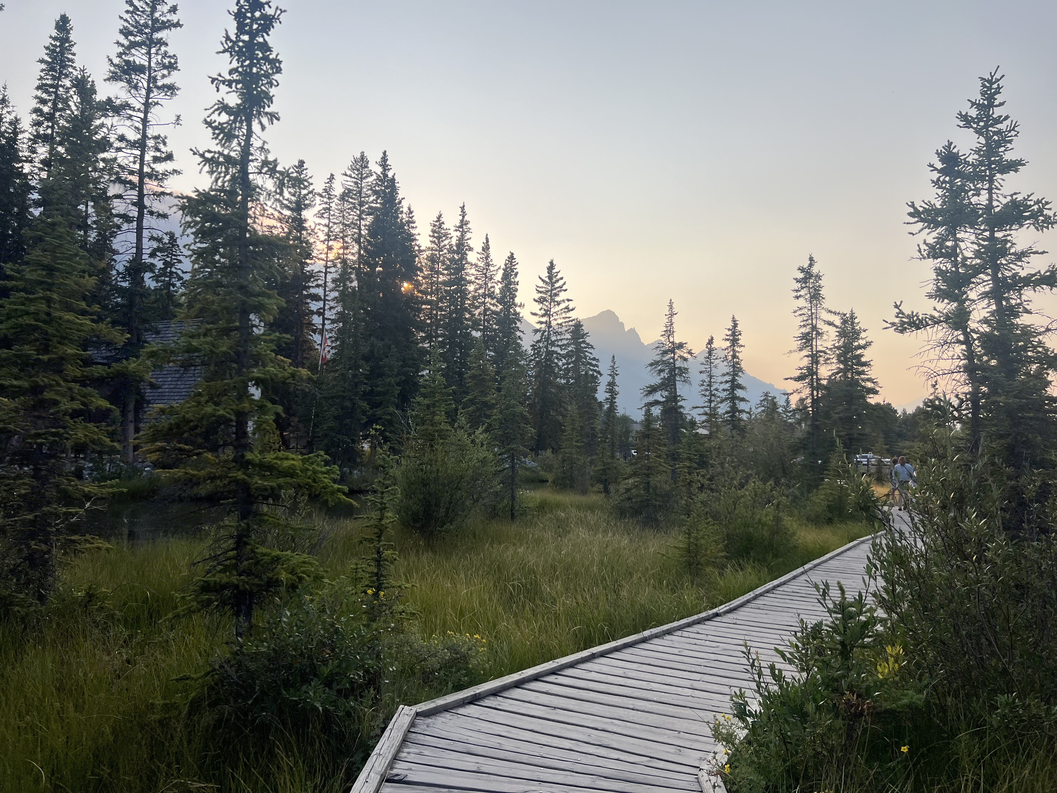 Policeman's Creek boardwalk in Canmore at sunset