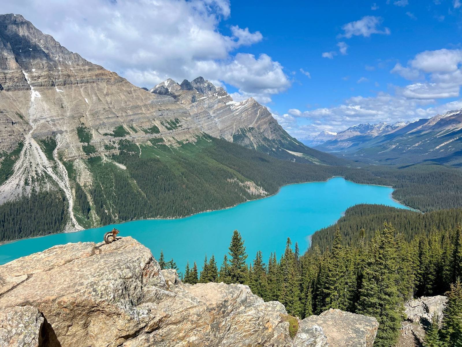 Peyto Lake in the Canadian Rockies