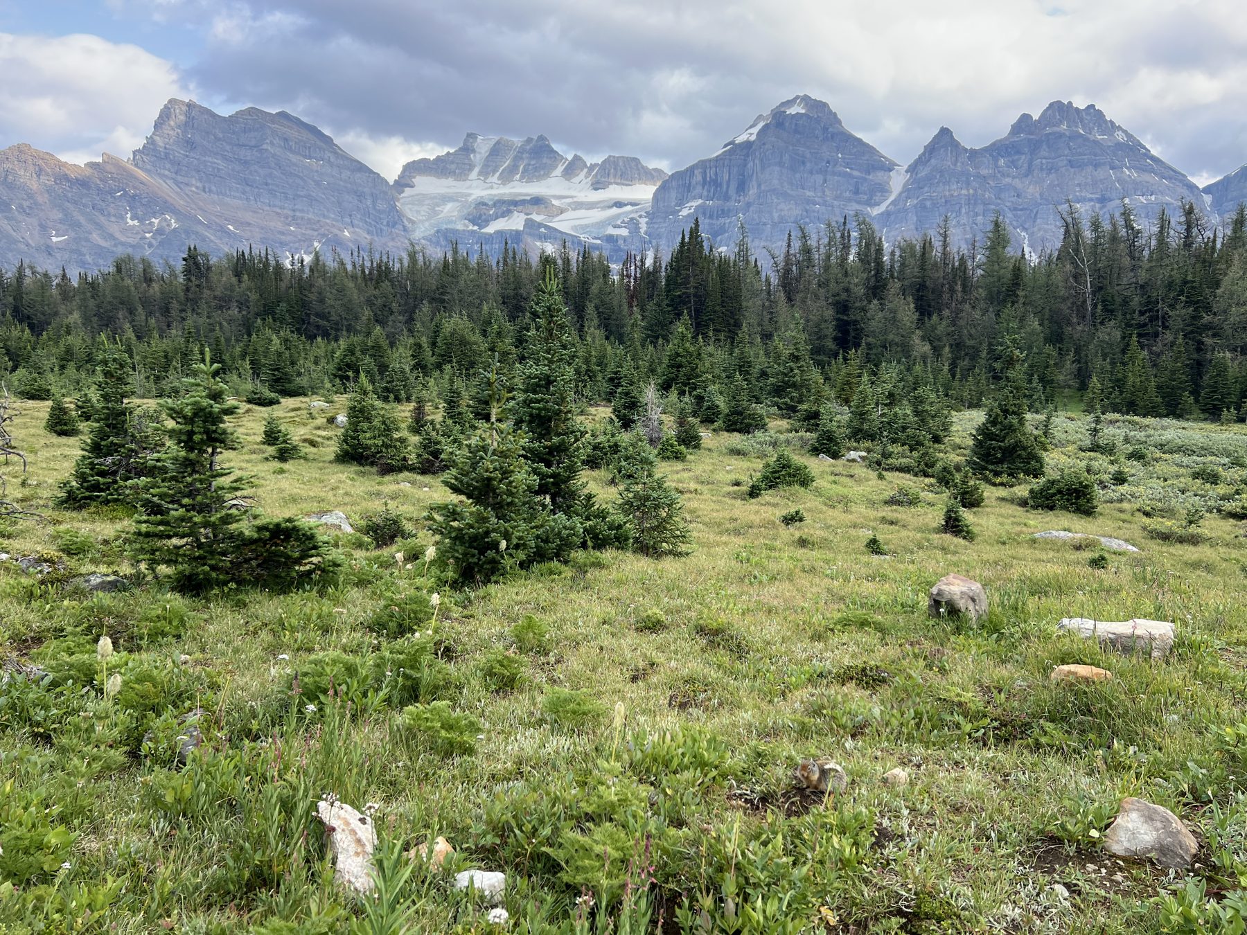 Larch Valley with the Valley of the Ten Peaks on the Sentinel Pass hike