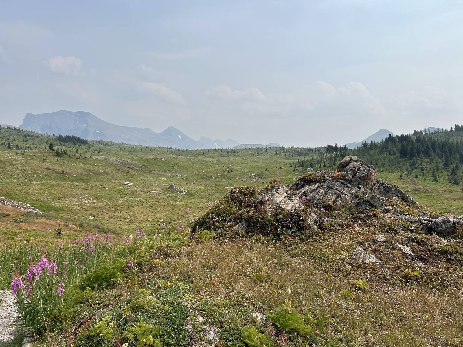 Alpine mountain view from Sunshine Meadows