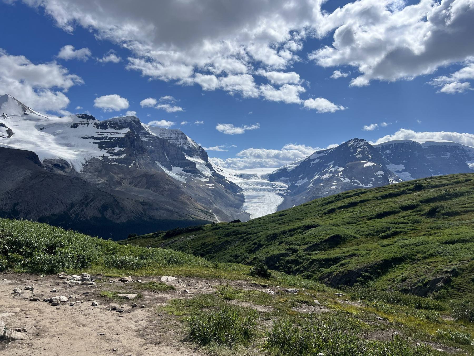 Wilcox Pass