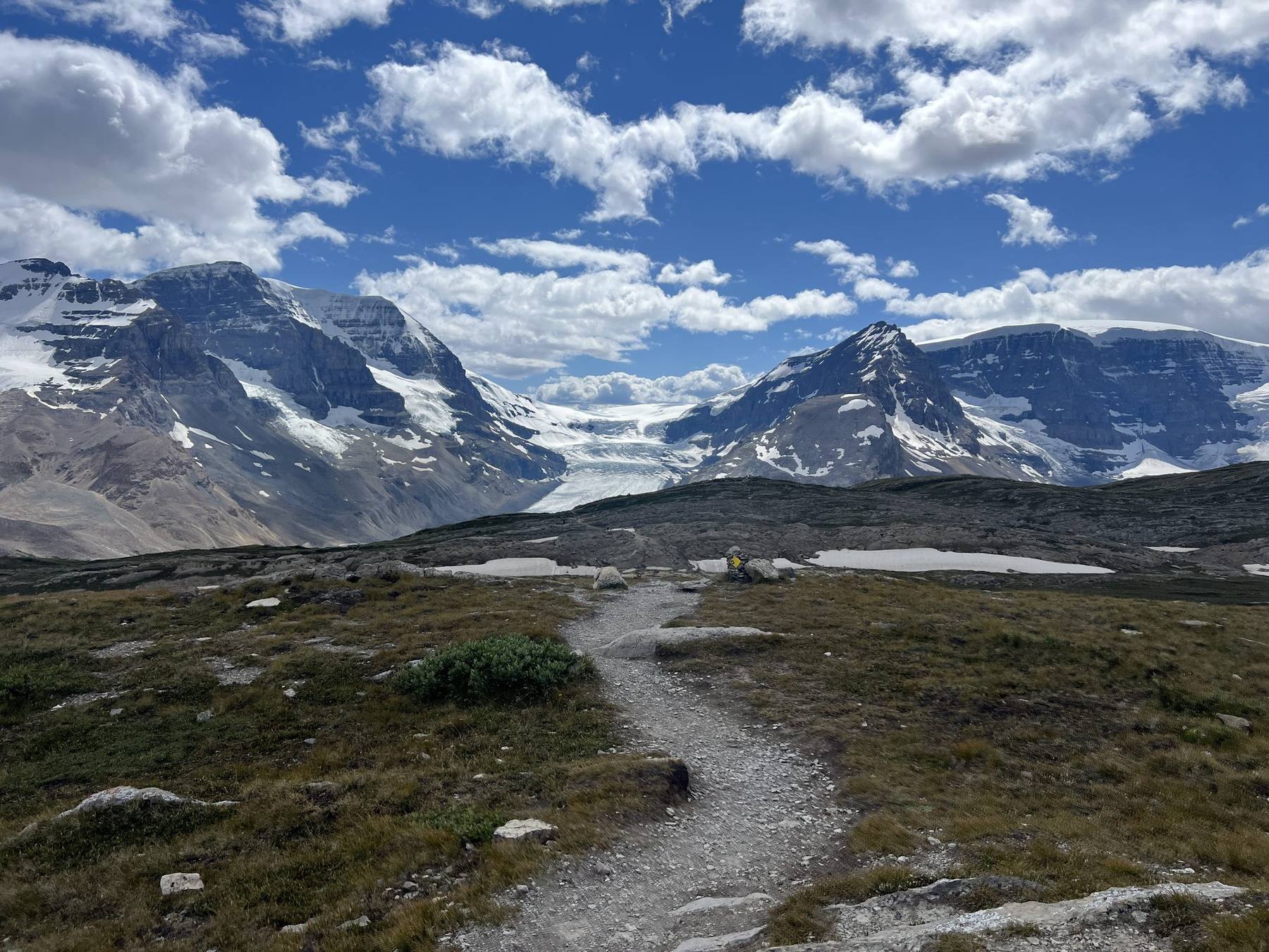 Open alpine terrain on Wilcox Trail