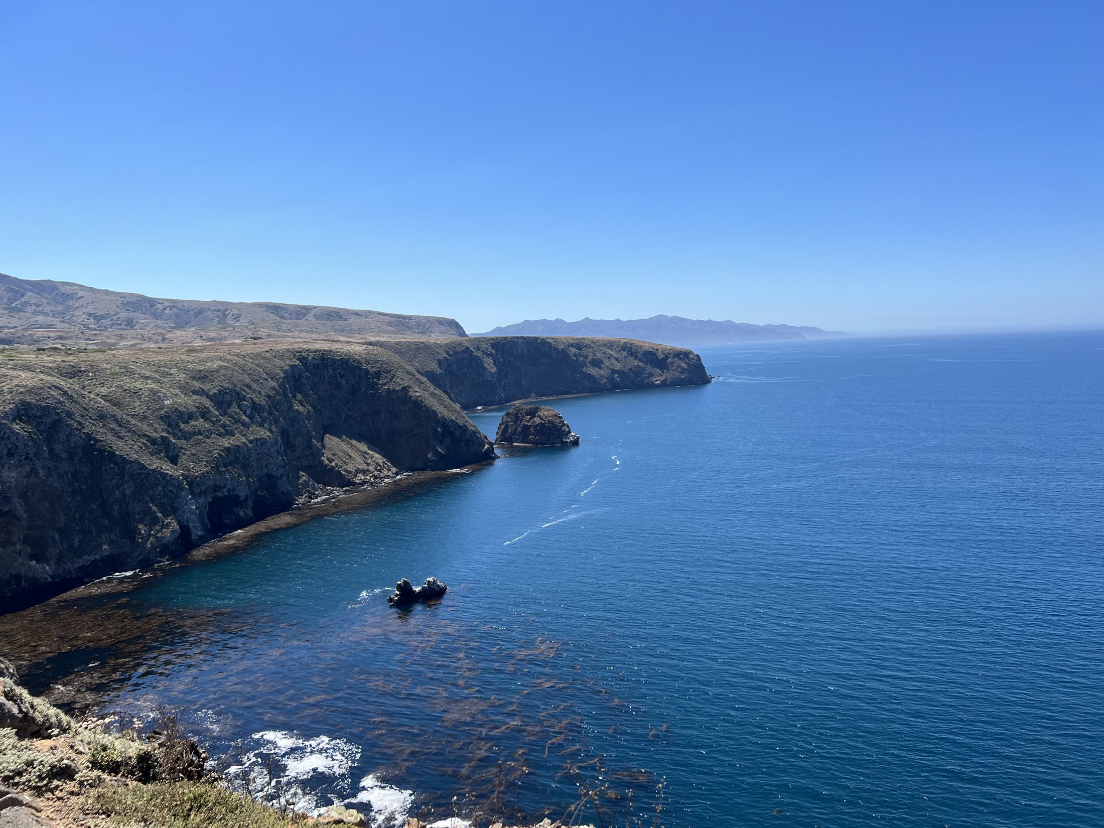 Cliffs and Pacific Ocean from Santa Cruz Island
