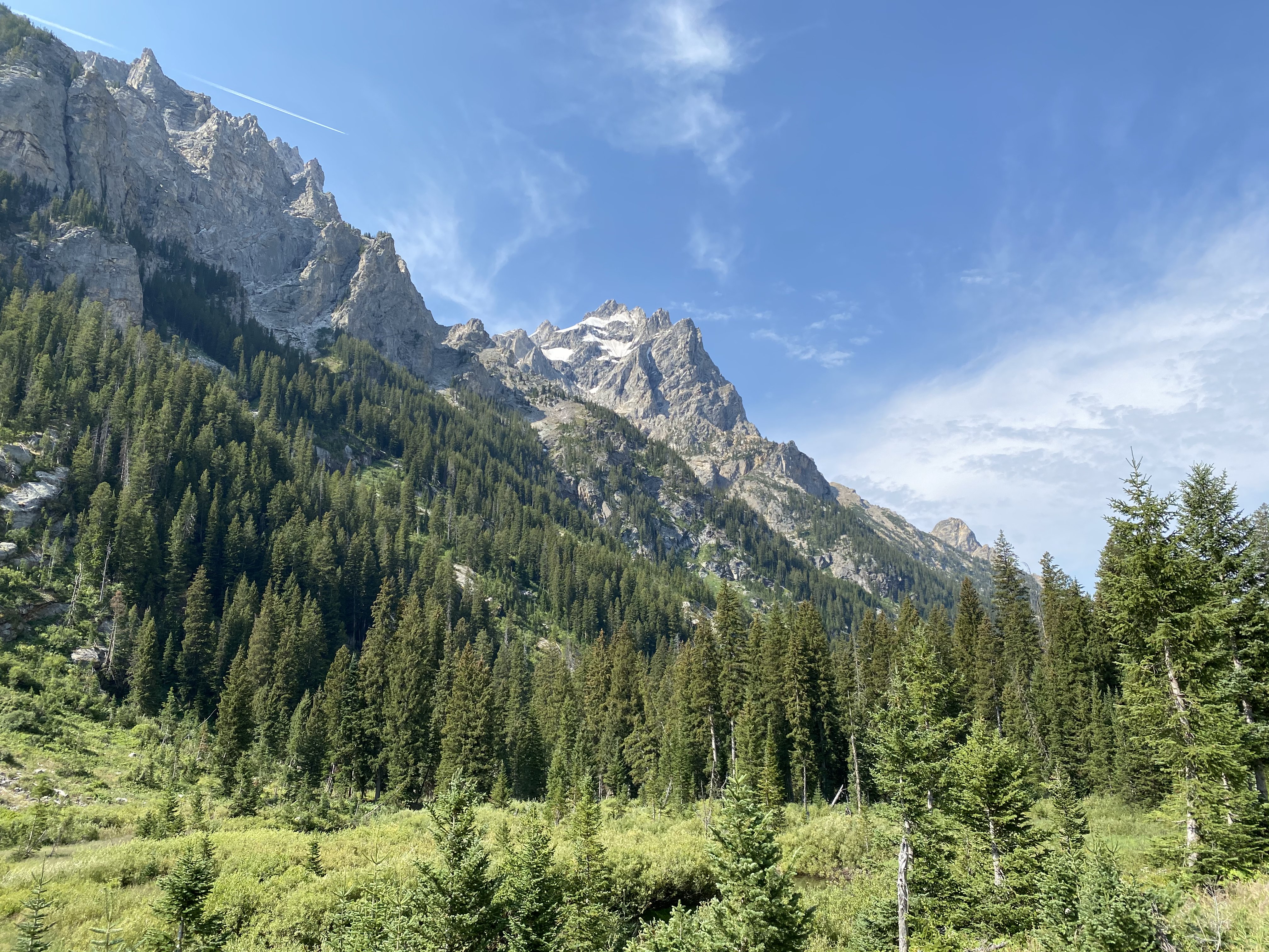 Cascade Canyon in Grand Teton