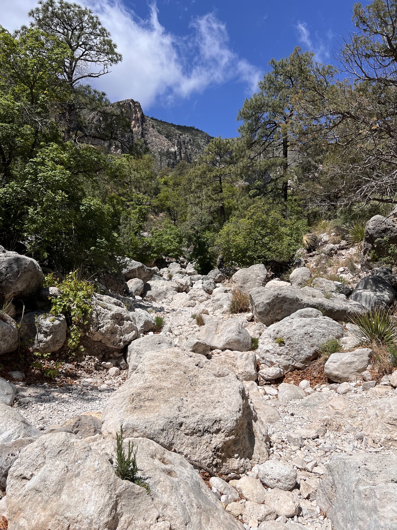 Rocky wash on the route toward Devil's Hall