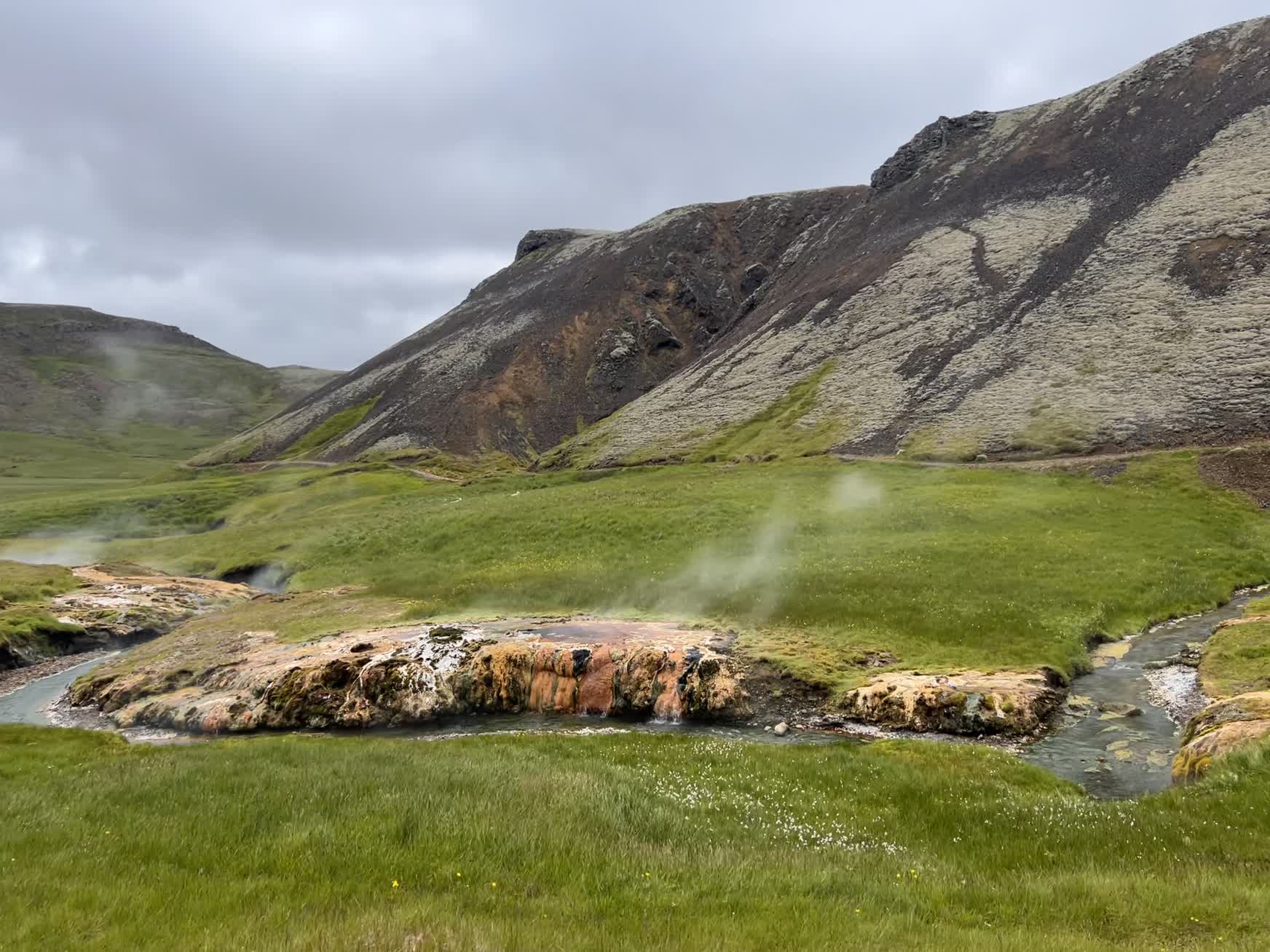 Steam rising beside the Reykjadalur thermal river
