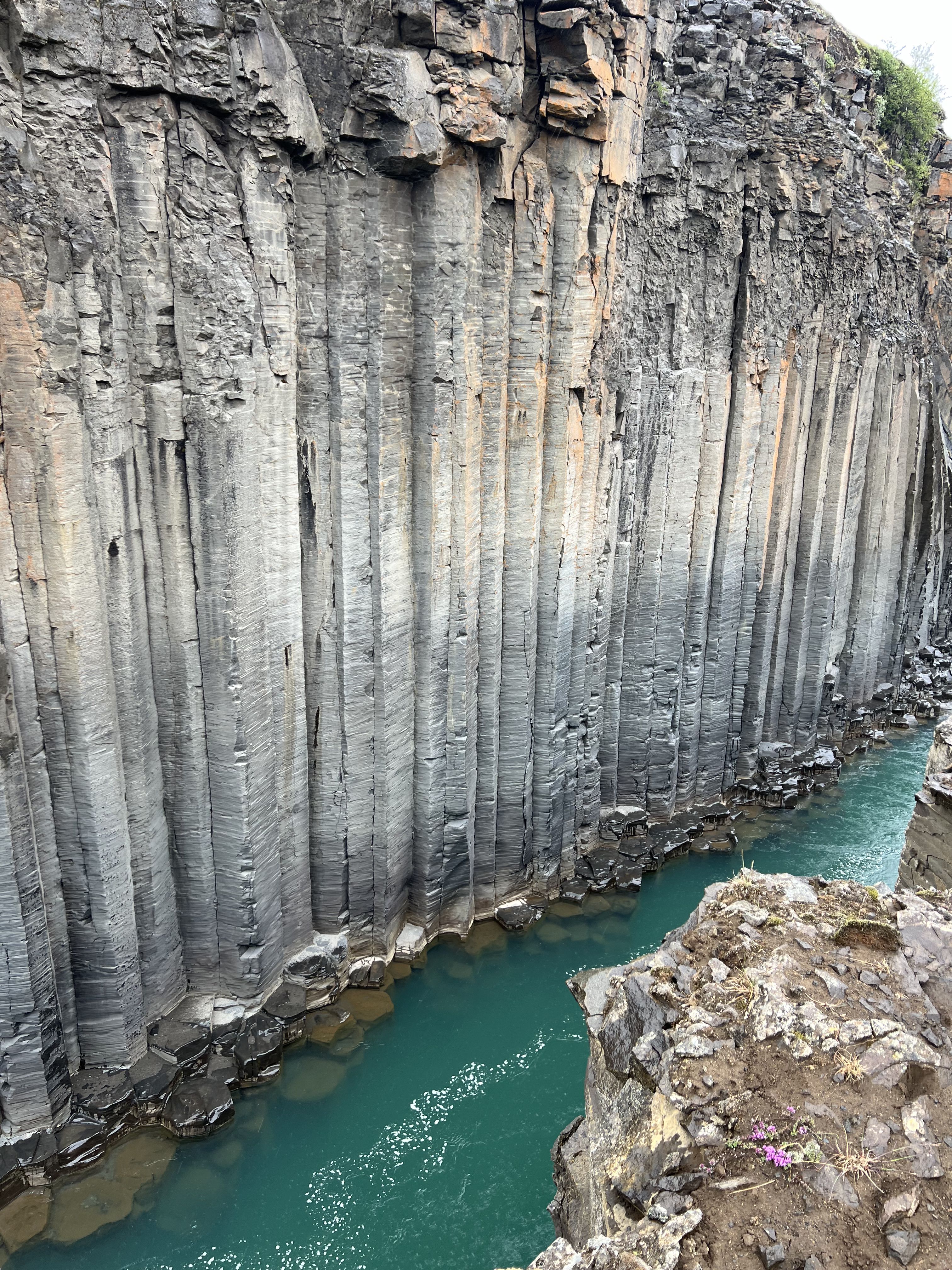 Tall basalt columns lining Stuðlagil Canyon