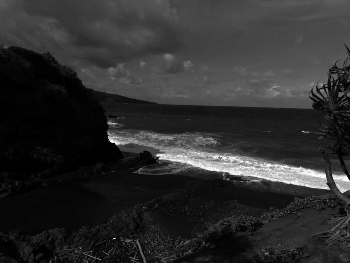 Pīpīwai Trail: Bamboo + Waterfalls on the Road to Hāna