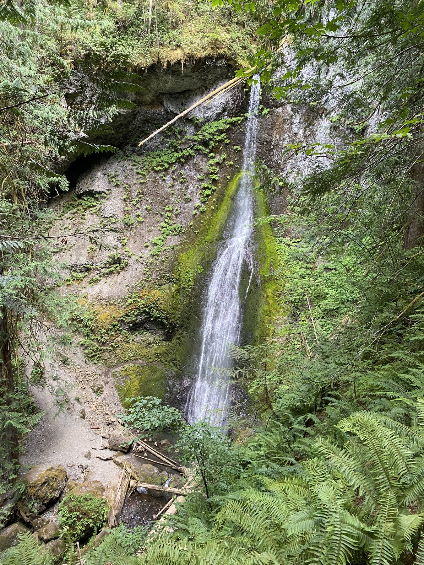 Marymere Falls vs. Sol Duc Falls: Which Would We Prioritize?