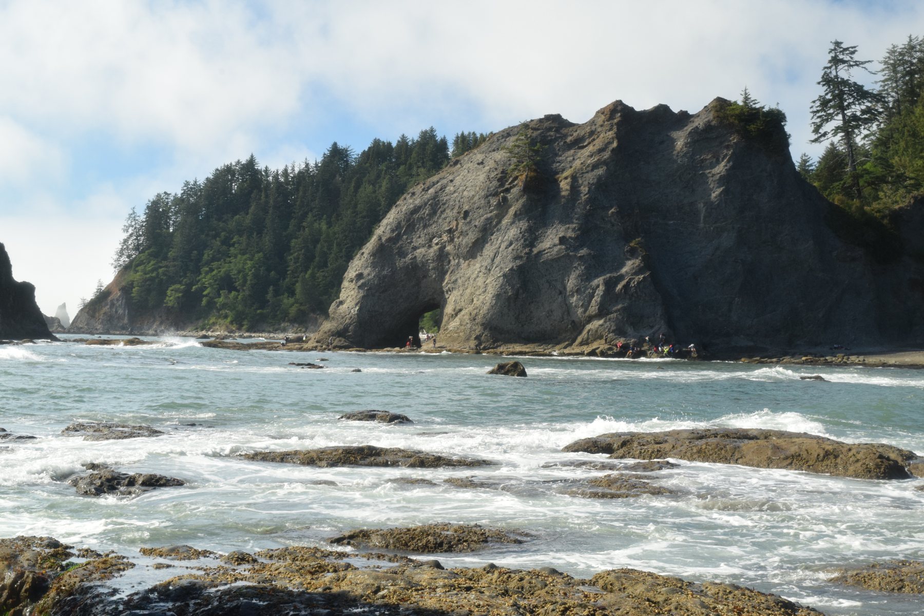 Rialto Beach to Hole in the Wall: Plan for Low Tide