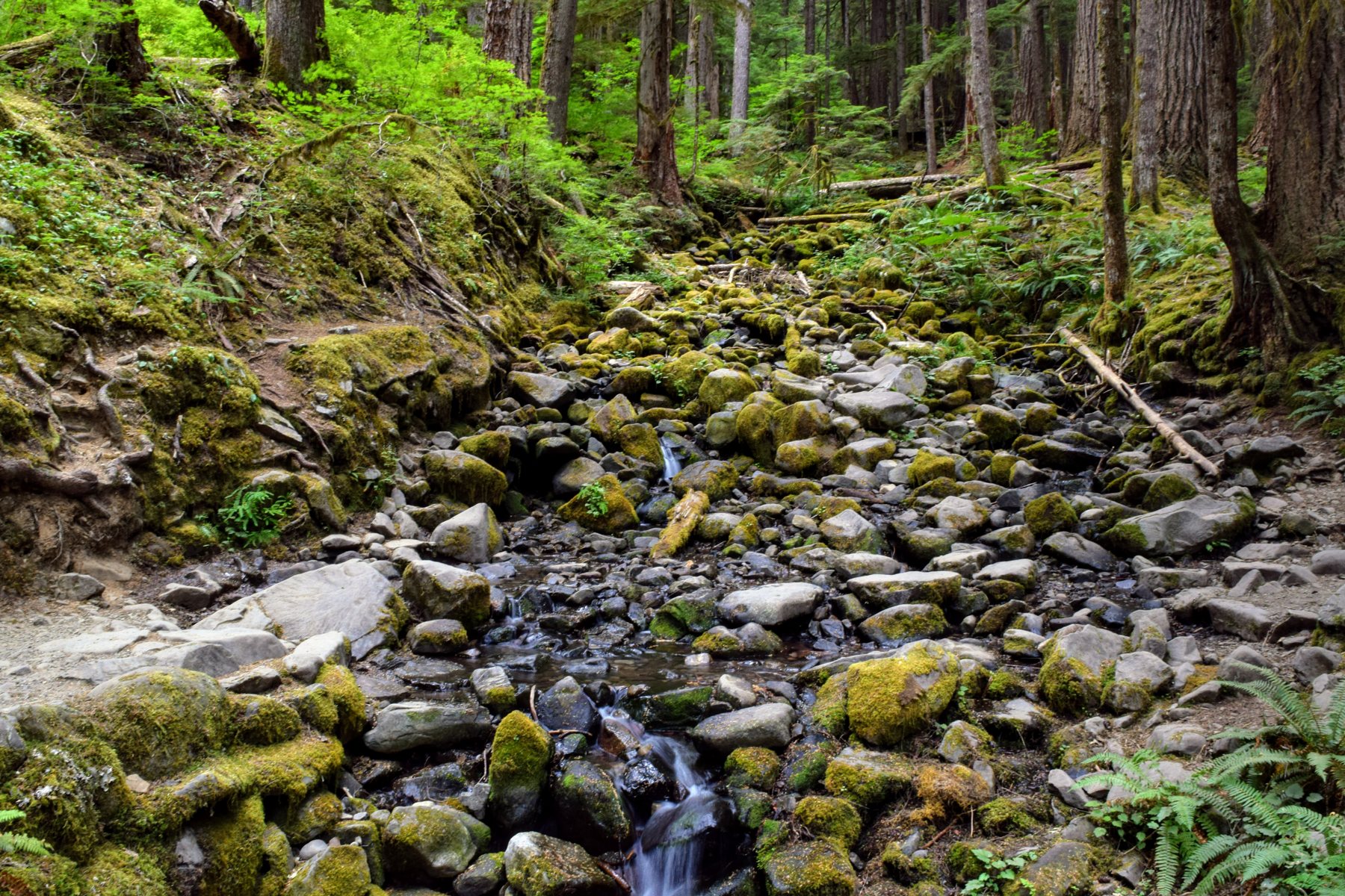 Sol Duc Falls