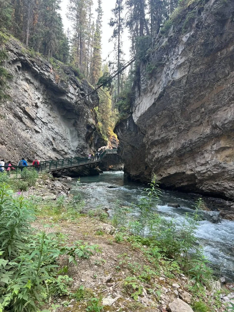 Johnston Canyon walkway and river