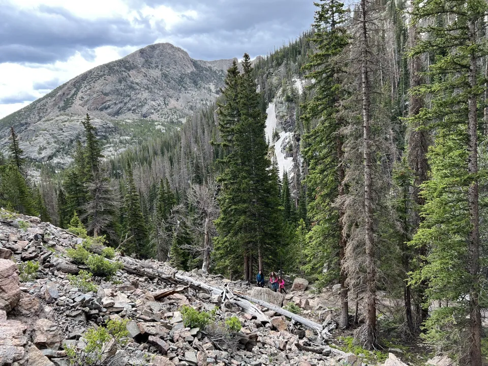 Timberline Falls