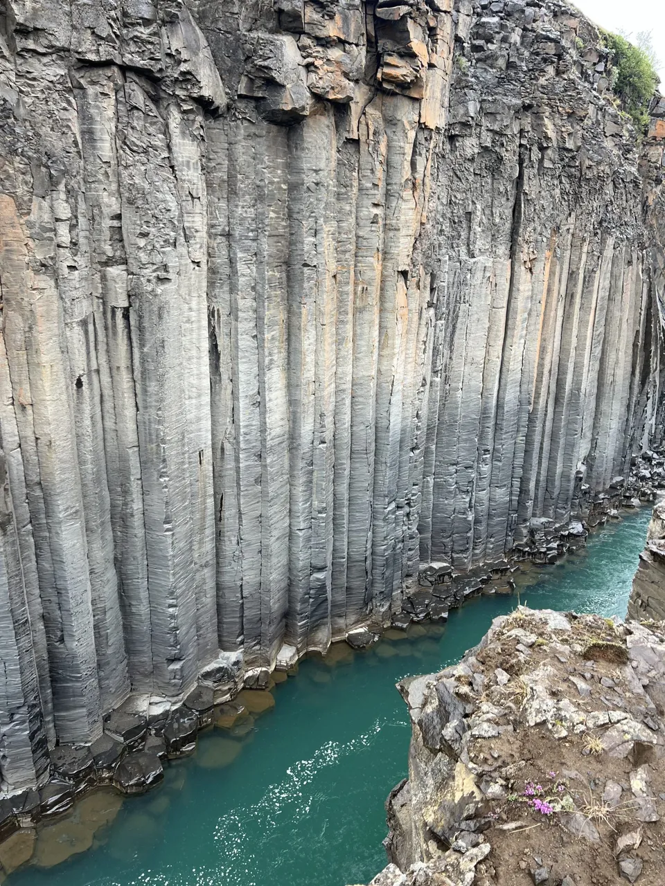 Tall basalt columns lining Stuðlagil Canyon
