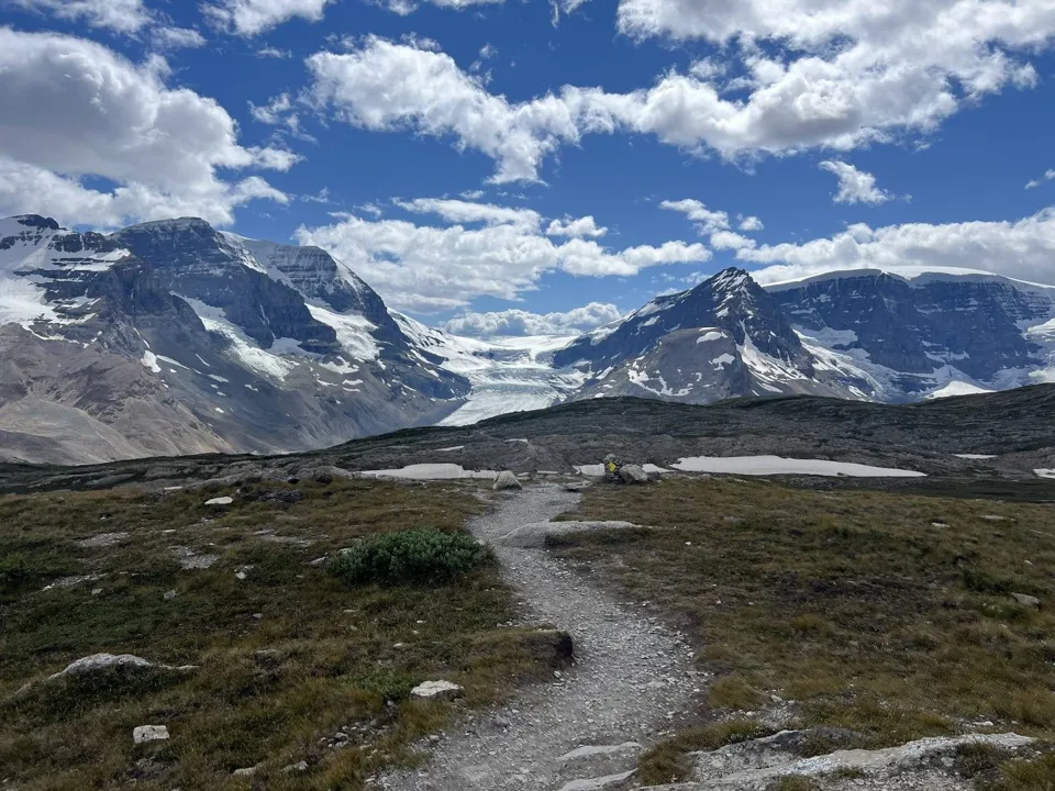 Open alpine terrain on Wilcox Trail
