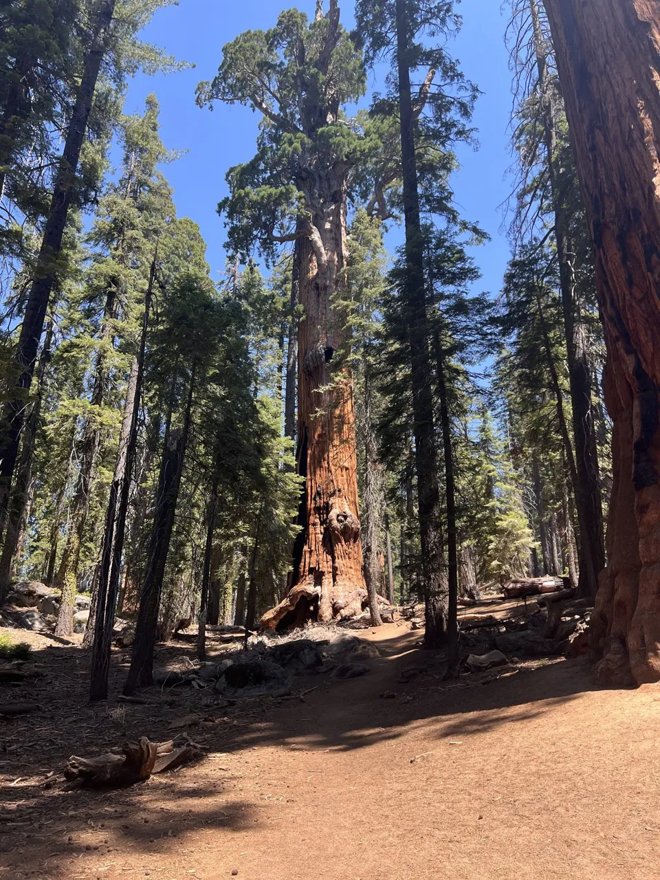 3 Days in Sequoia + Kings Canyon