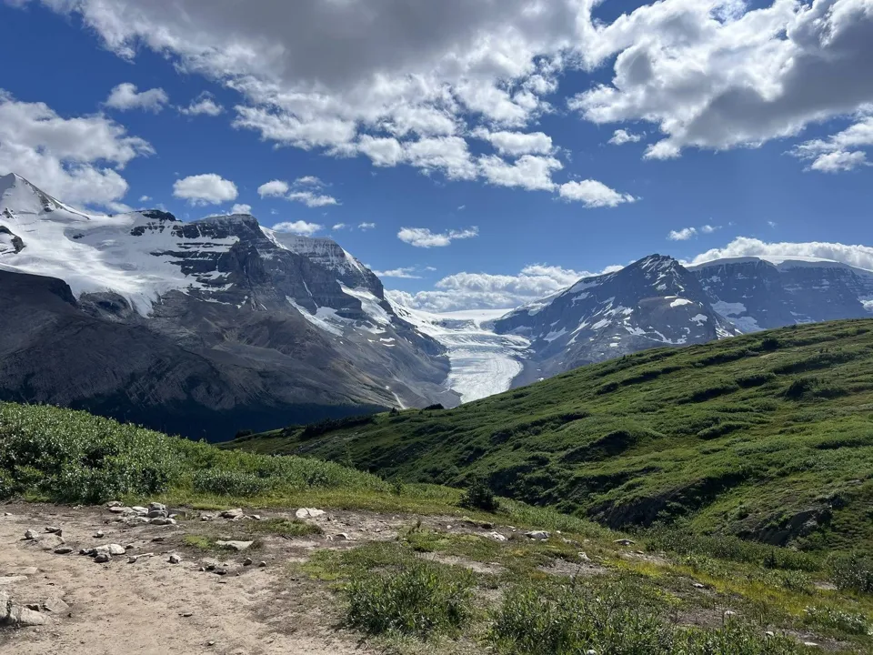 Wilcox Pass