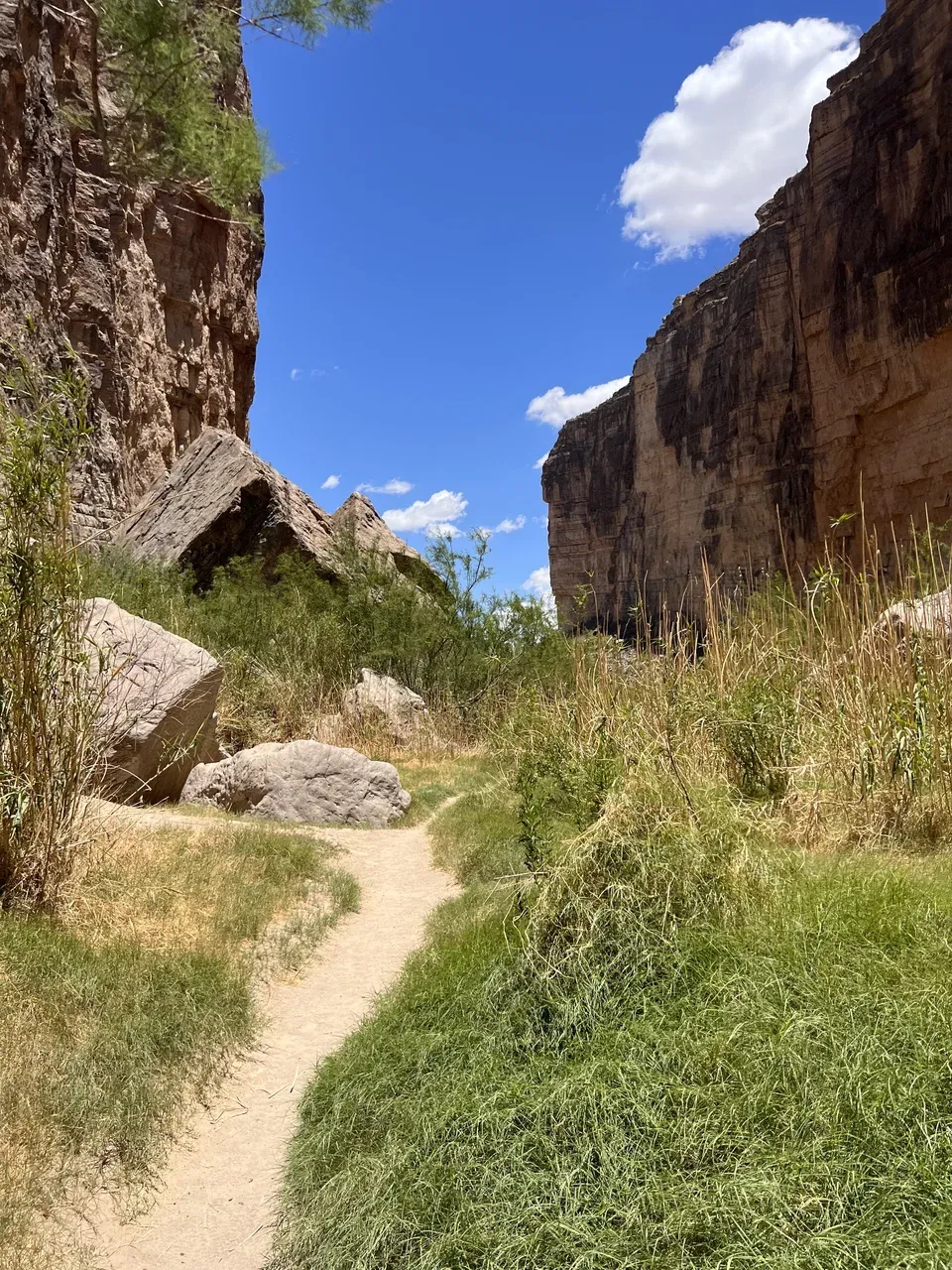 Grassy riverside path inside Santa Elena Canyon