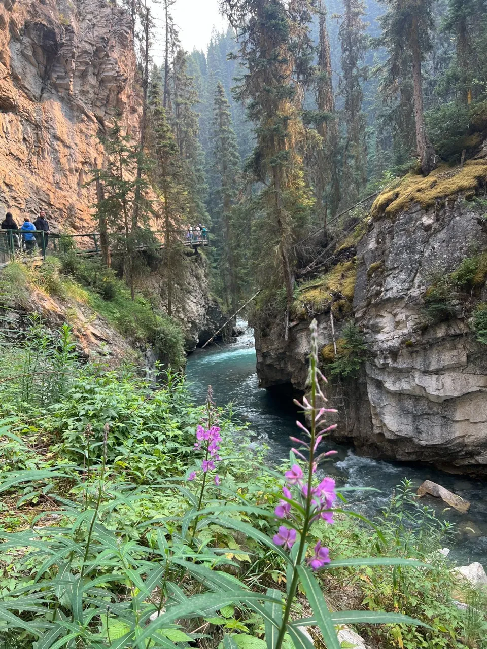 Johnston Canyon in Banff National Park