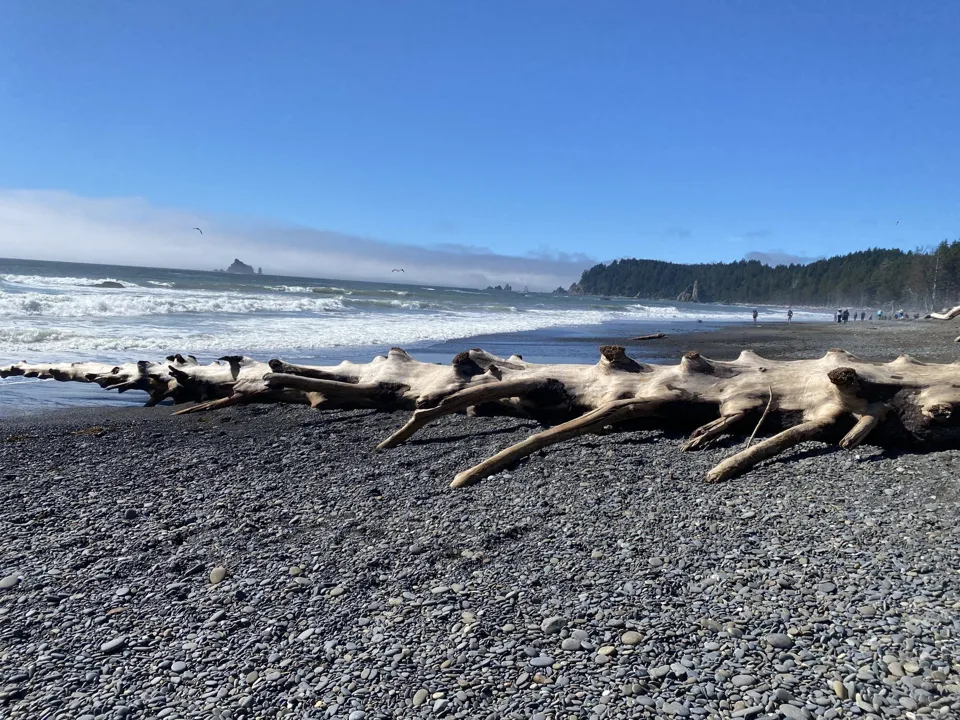 Olympic National Park coast