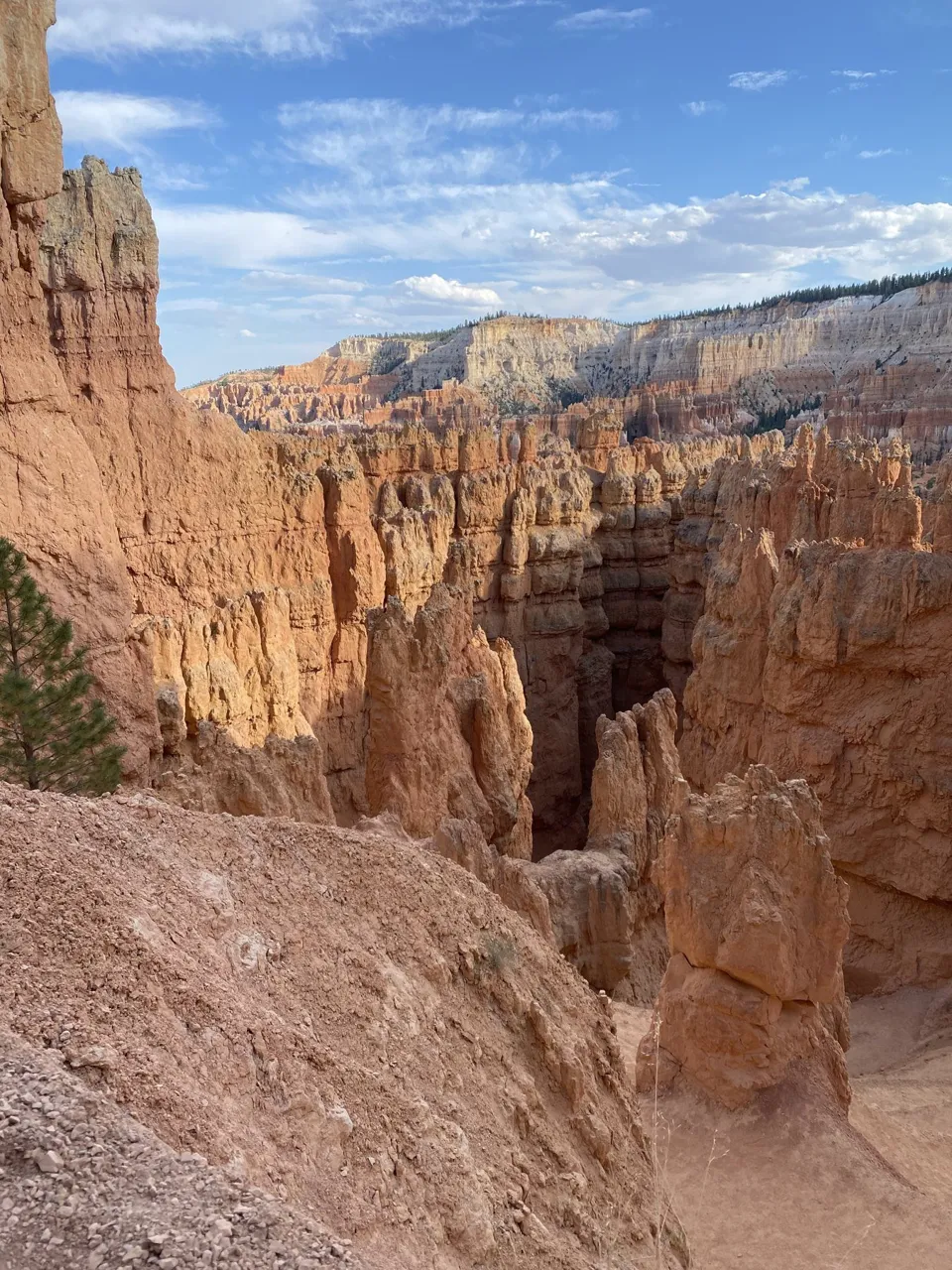 Bryce Canyon below the rim