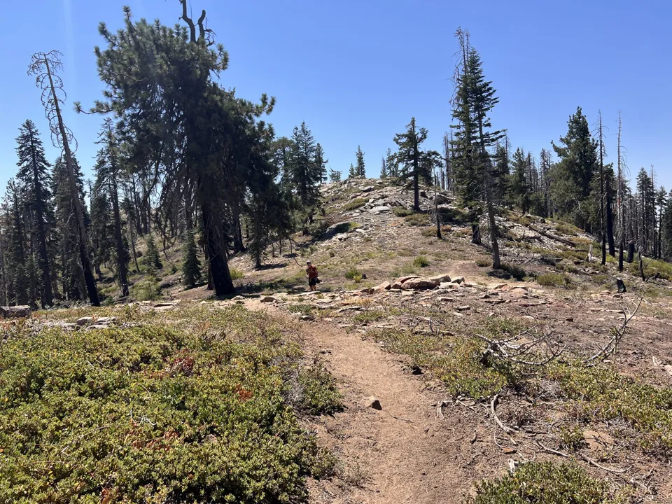 Big Baldy trail in Sequoia and Kings Canyon