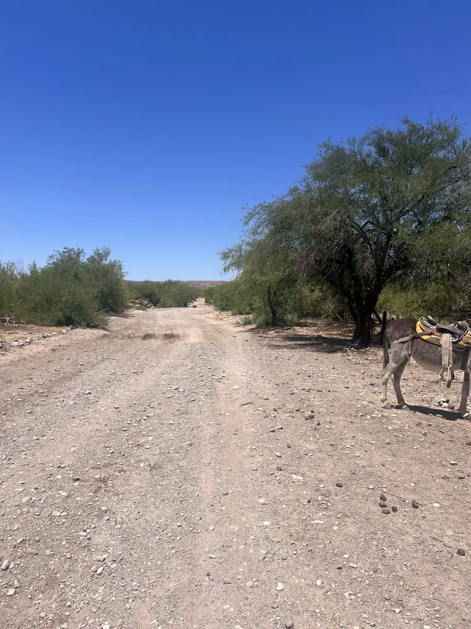 Boquillas crossing