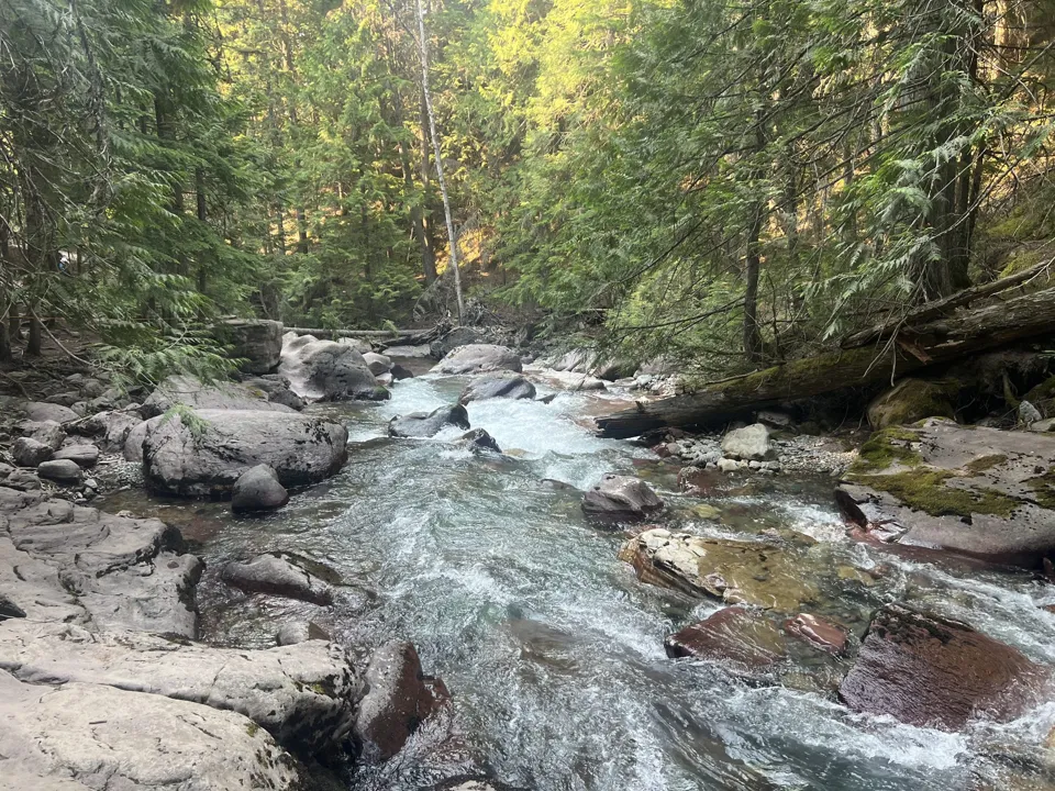 Avalanche Creek running through the forest beside the Avalanche Lake Trail