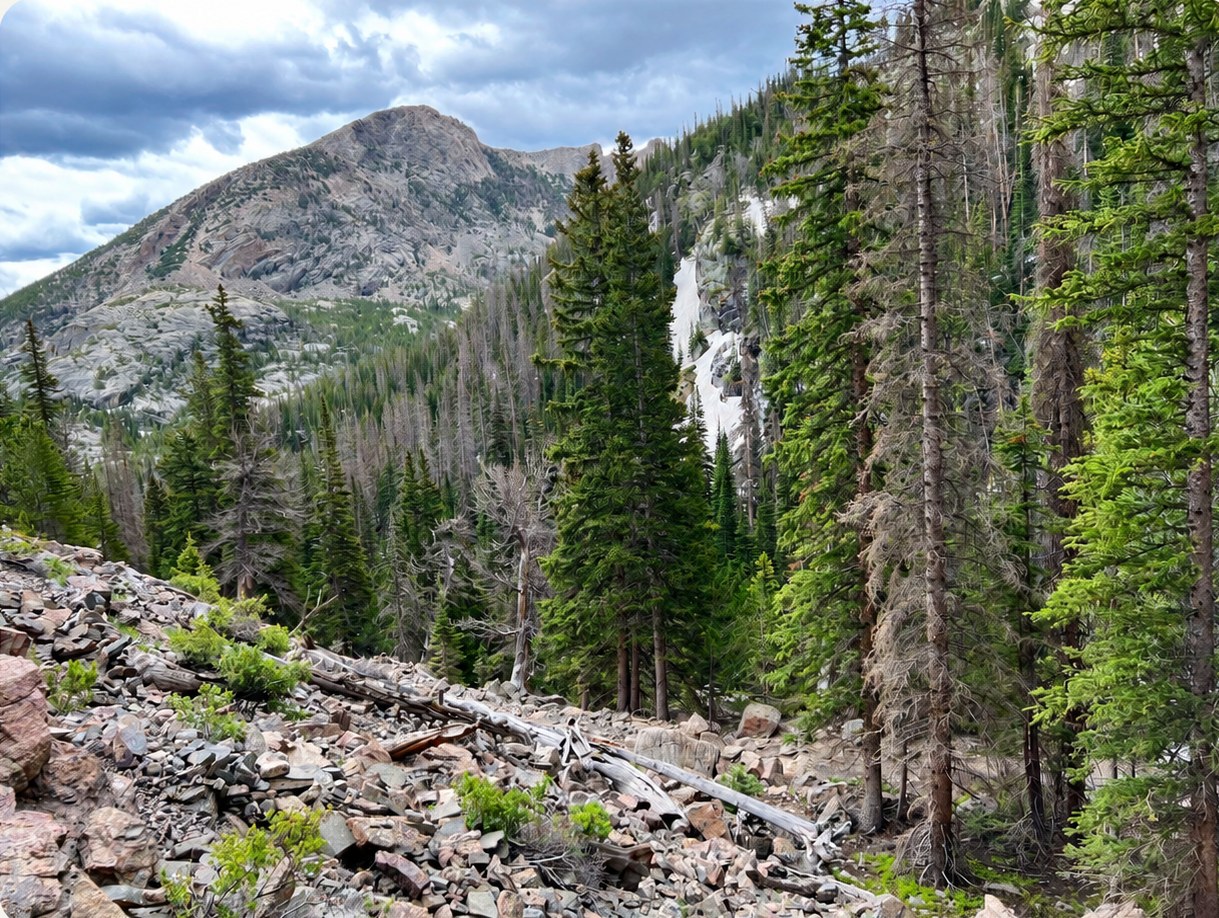 Timberline Falls route in Rocky Mountain National Park