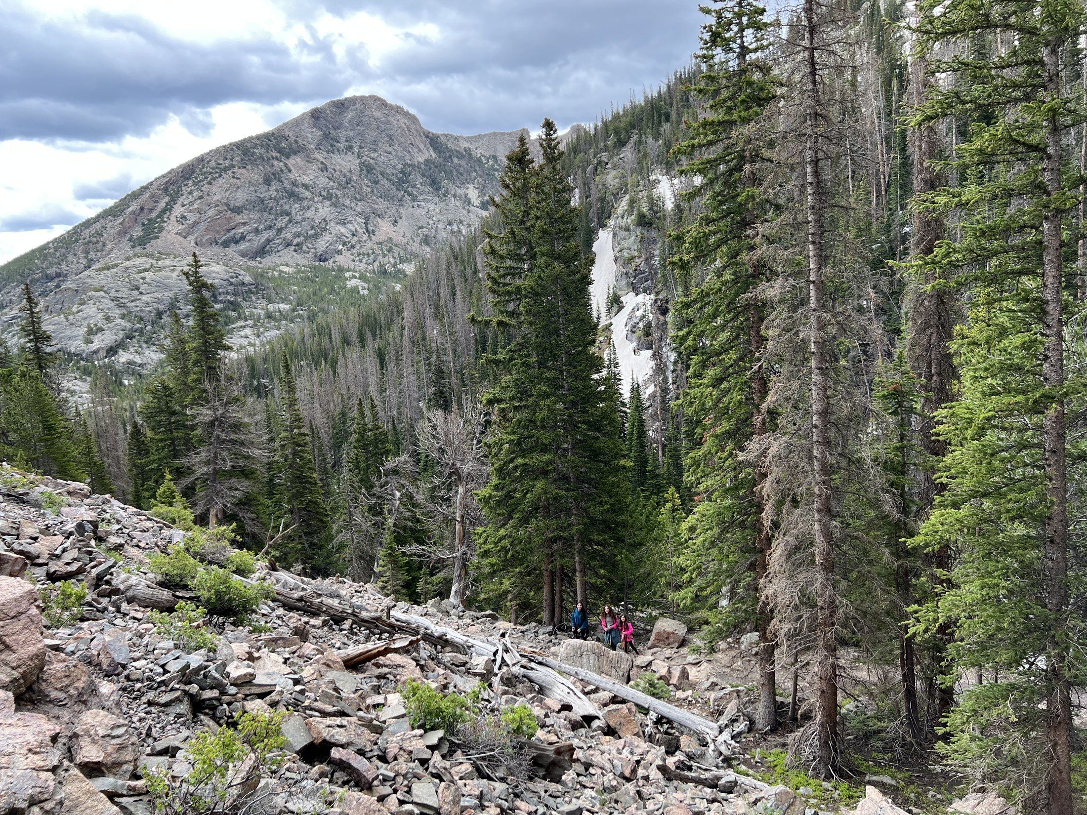 Timberline Falls