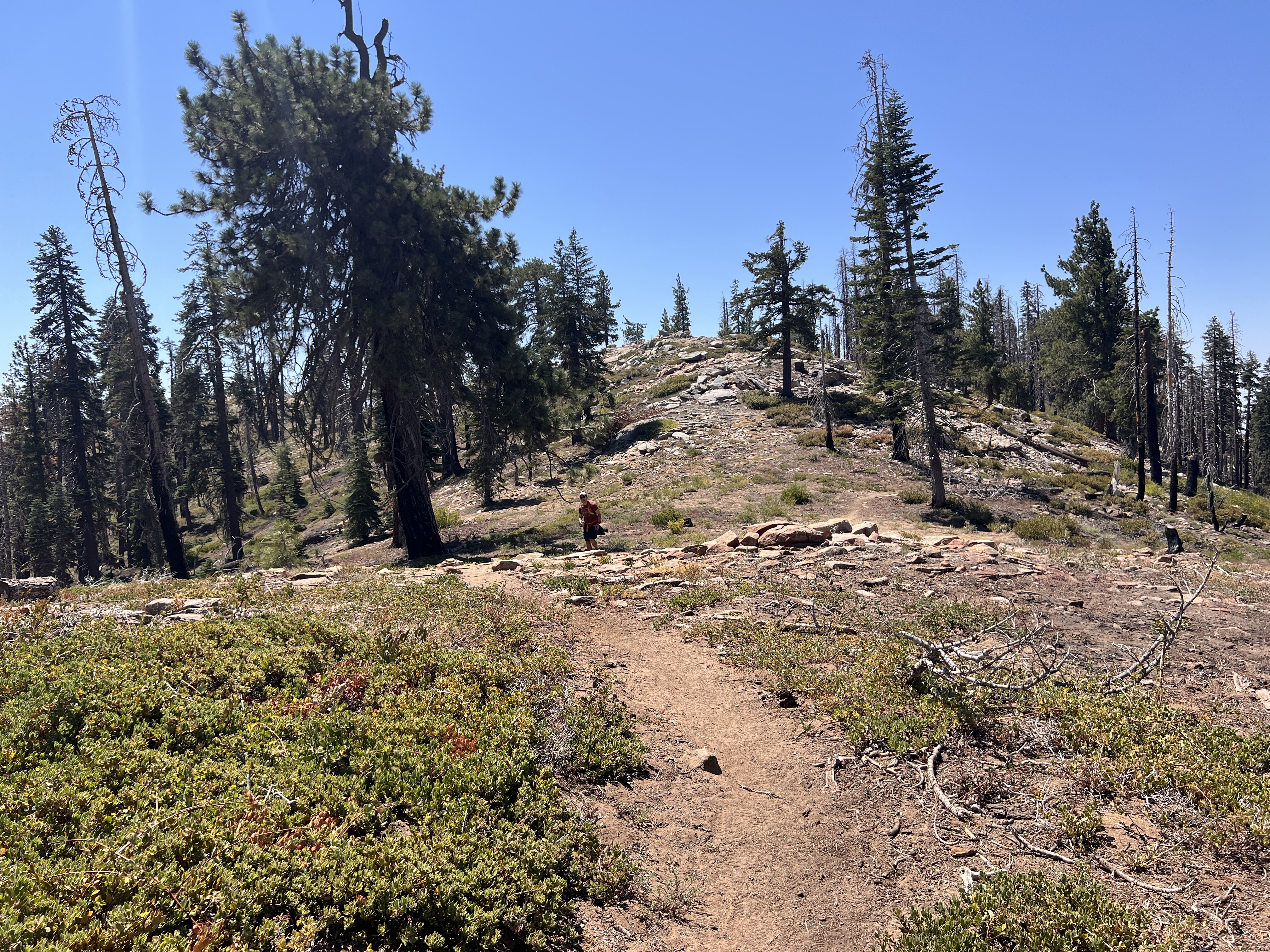 Big Baldy trail