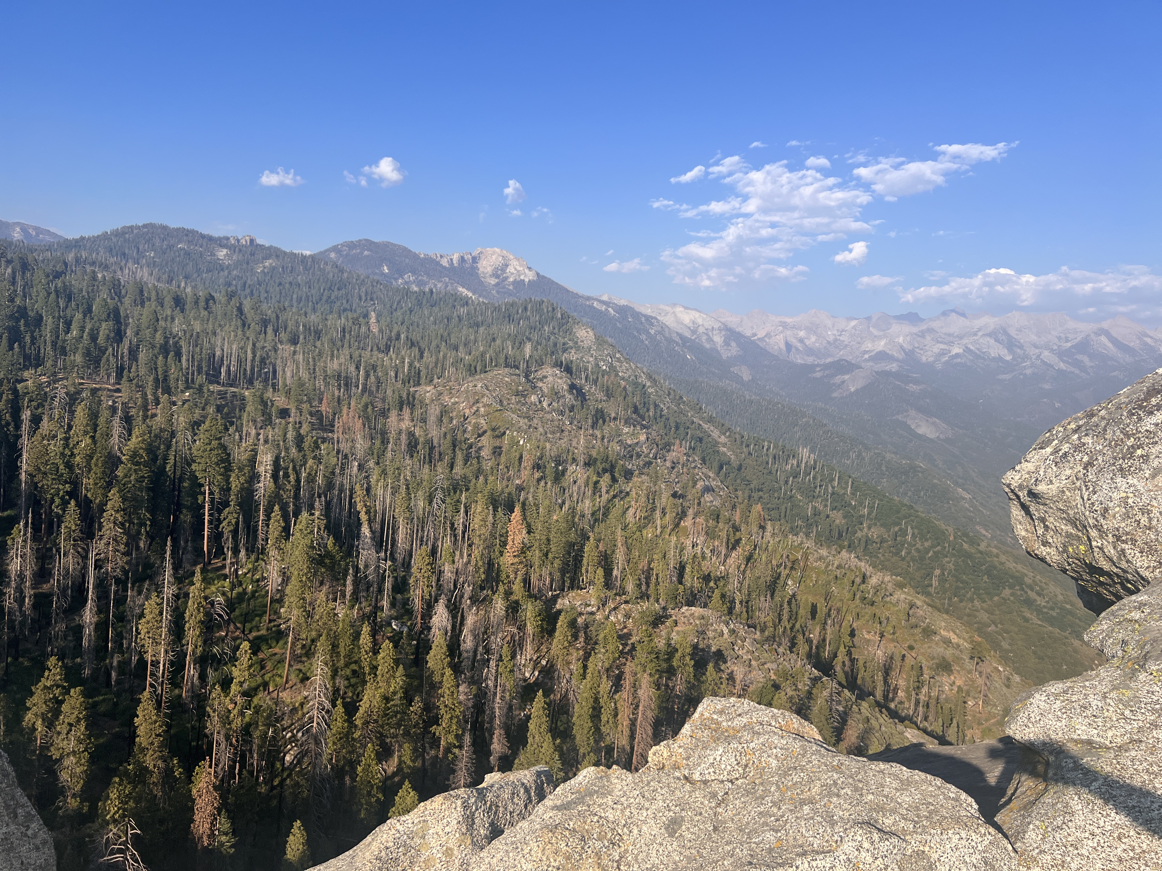 Big Baldy: Good Views, But Not Our First Priority