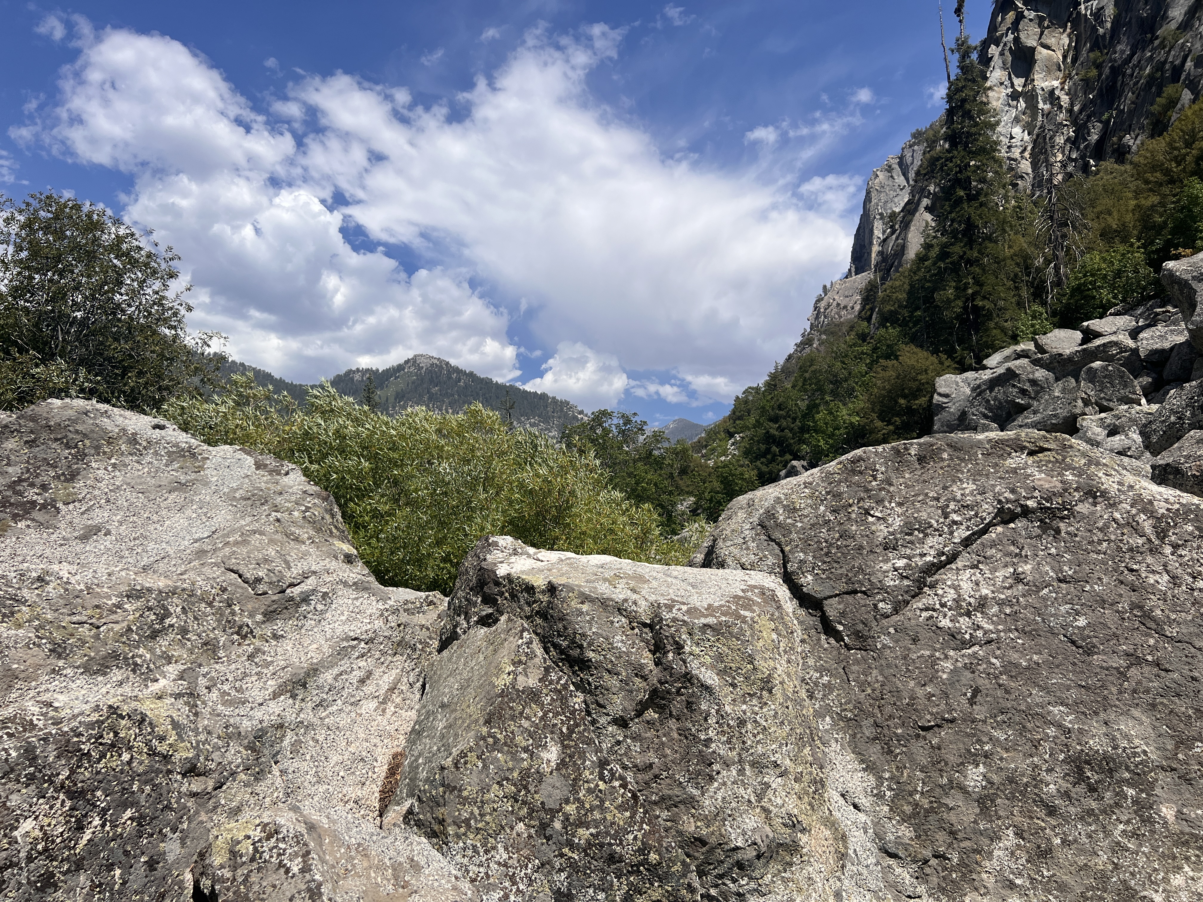 Granite canyon along Mist Falls trail
