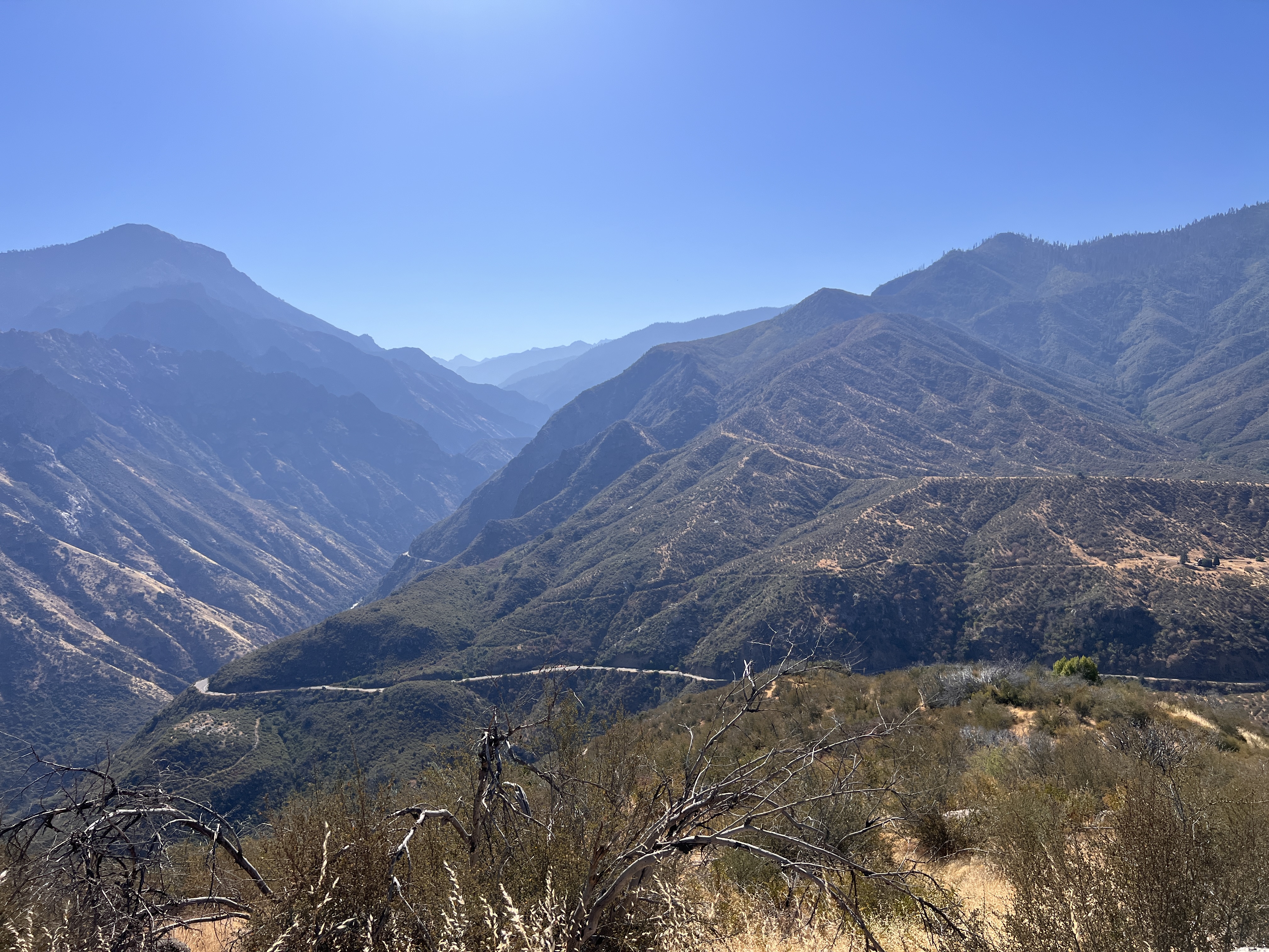 Sequoia + Kings Canyon