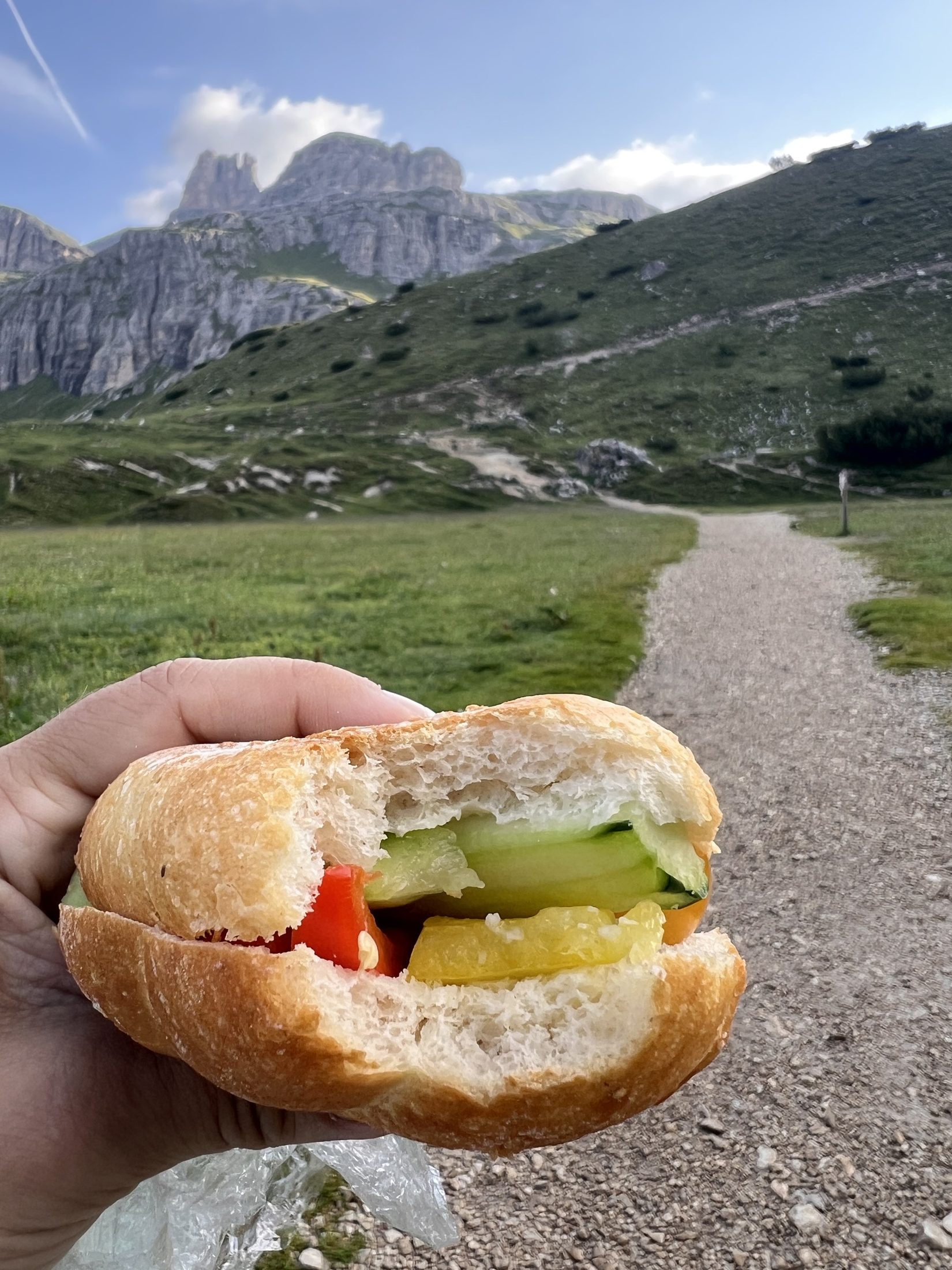 A sandwich packed for a long mountain hike