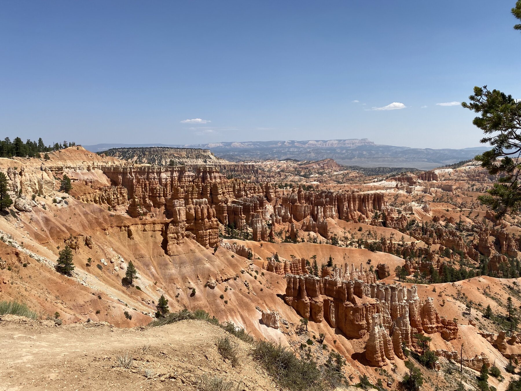 Utah Mighty 5 red rock landscape in Bryce Canyon