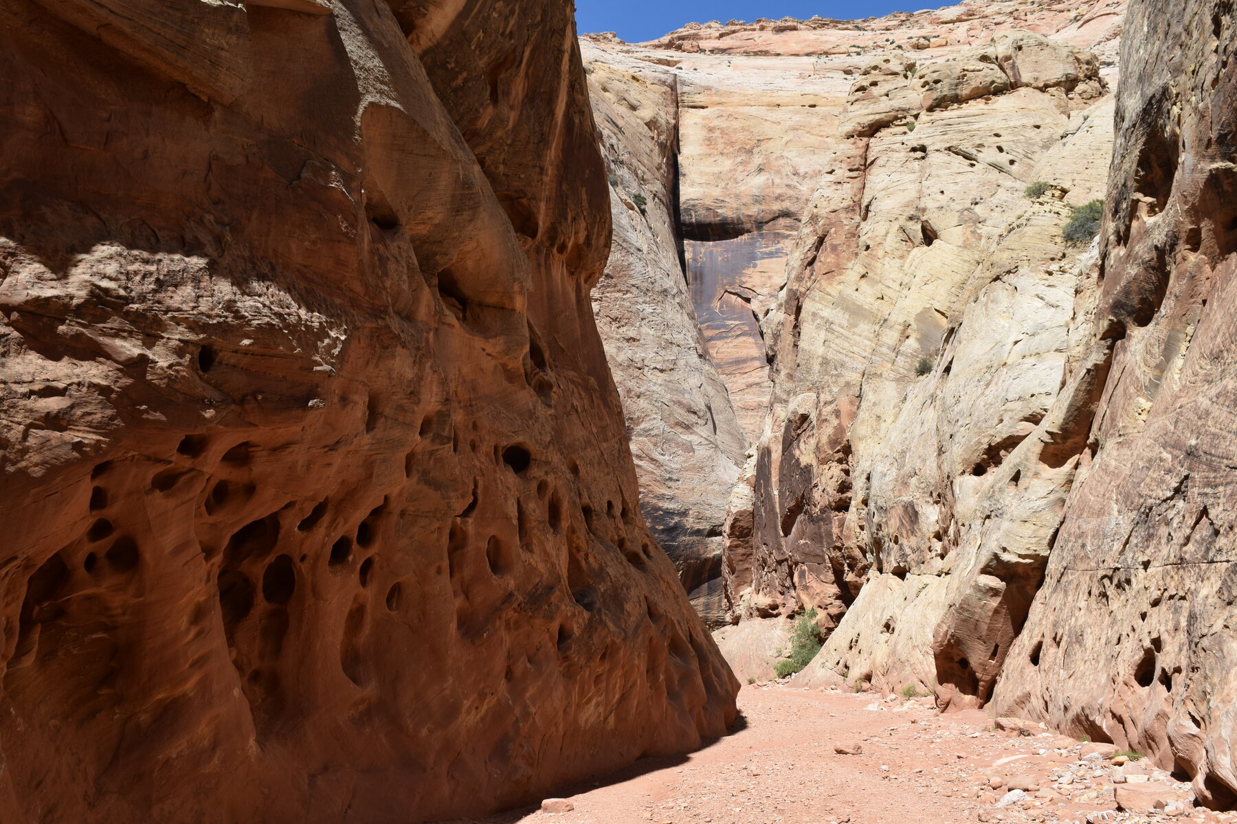 Grand Wash in Capitol Reef