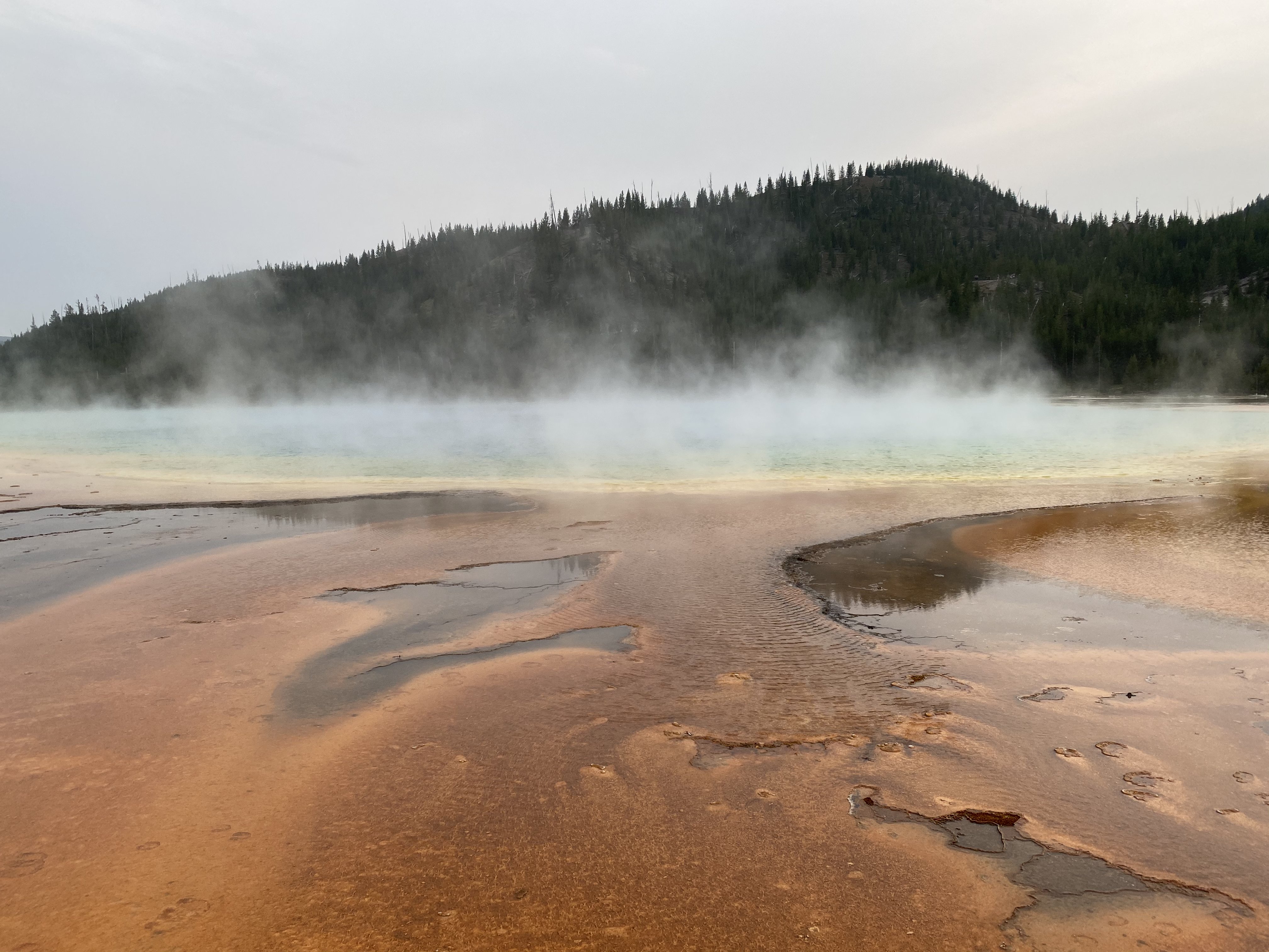 Yellowstone thermal features near Grand Prismatic